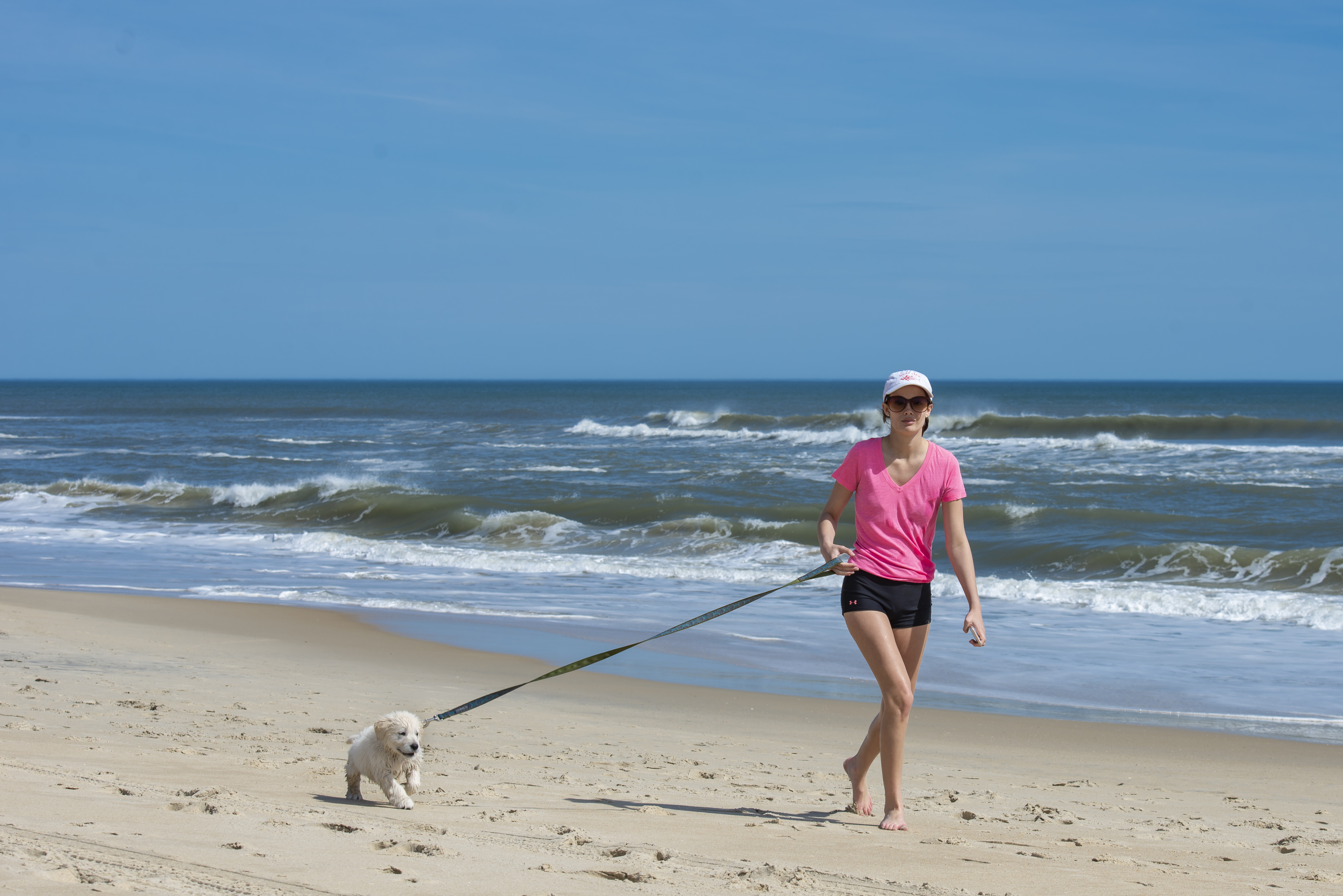  The Ultimate Dog-Friendly Outer Banks Guide: Beaches, Bites, Beyond